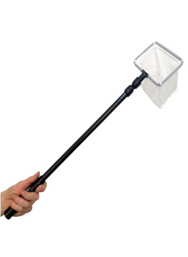 UNEAK - Small Aquarium Fish Net with Extendable 22"-33" Handle, Telescopic Fish Tank Nets, Fine Mesh Net for Fish and Shrimp Catching, Ponds, Creeks, and Aquariums - Image 1